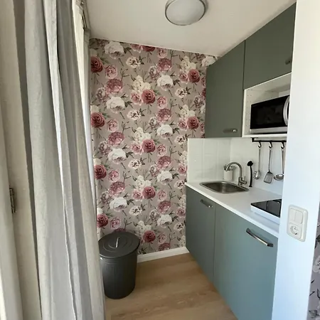 公寓 Haus Zur Rothen Thuer 2 阿恩施塔特