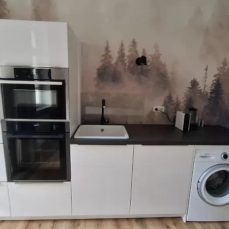 アパート Haus Zur Rothen Thuer 2 アルンシュタット