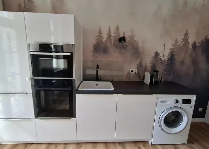 Appartement Haus Zur Rothen Thuer 2 Arnstadt